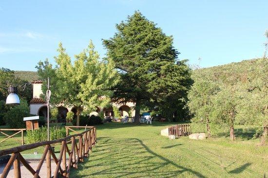 אמליה Agriturismo San Valentino מראה חיצוני תמונה